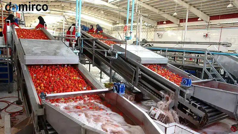 خط تولید رب گوجه فرنگی با تکنولوژی بریکس بالا