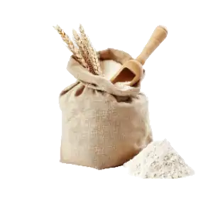 خط تولید آرد