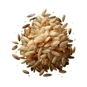 شالیکوبی برنج