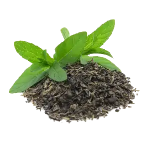 خط تولید چای سبز