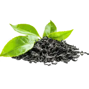 خط تولید چای سیاه
