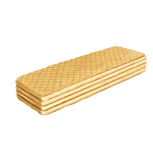 خط تولید ویفر
