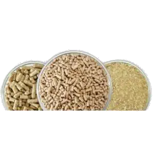 تولید خوراک دام
