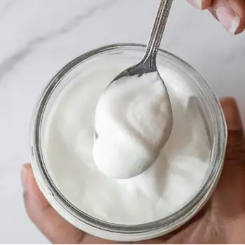 طرح توجیحی اولیه تولید ماست