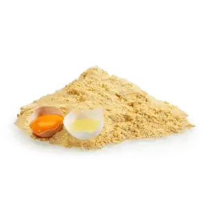 پودر تخم مرغ